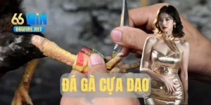 Đá Gà Cựa Dao – Kinh Nghiệm Và Kỹ Thuật Chơi Hiệu Quả