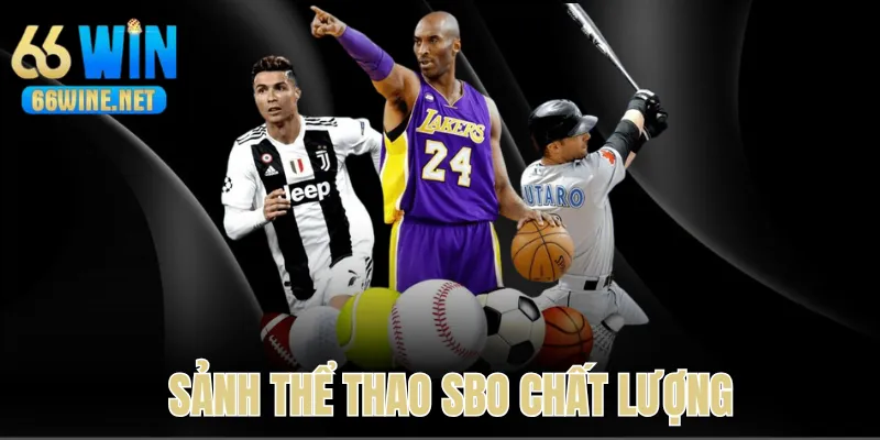 Sảnh cược thể thao 66Win SBO chất lượng
